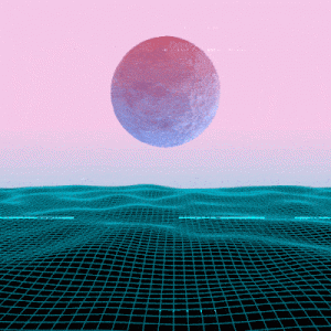 Explorar Portfolio